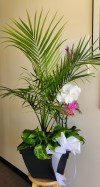 Palm Plant with Orchid