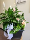 Large Assorted Floor Plants With Roses