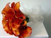 Orange Callas